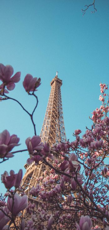 Обои 720x1520 Эйфелева башня, Париж, Франция