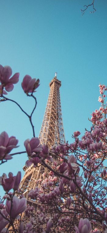 Обои 1125x2436 Эйфелева башня, Париж, Франция