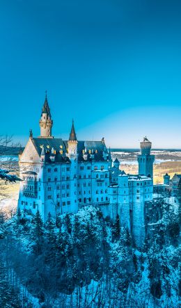 Neuschwanstein Castle, Germany Wallpaper 600x1024