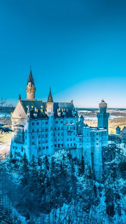 Neuschwanstein Castle, Germany Wallpaper 640x1136