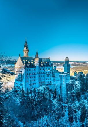 Neuschwanstein Castle, Germany Wallpaper 1640x2360