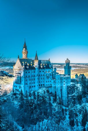 Neuschwanstein Castle, Germany Wallpaper 640x960