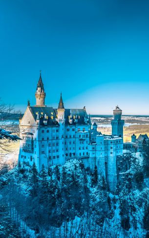 Neuschwanstein Castle, Germany Wallpaper 1600x2560