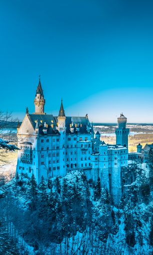 Neuschwanstein Castle, Germany Wallpaper 1200x2000