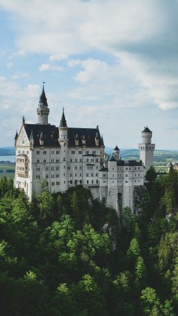 Neuschwanstein Castle, Germany Wallpaper 640x1136