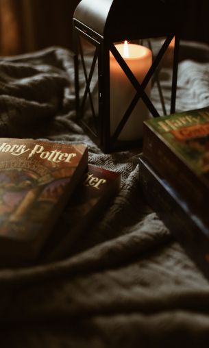 Harry Potter, books Wallpaper 1200x2000