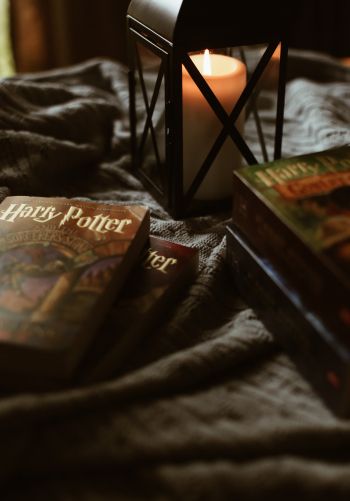 Harry Potter, books Wallpaper 1668x2388
