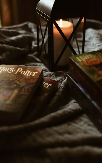Обои 1600x2560 Гарри Поттер, книги