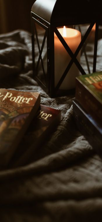 Обои 1080x2340 Гарри Поттер, книги