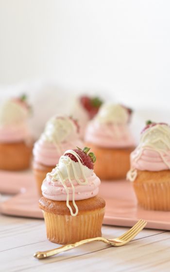 cupcakes, dessert Wallpaper 1752x2800