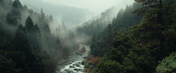 Обои 3440x1440 река, лес, туман
