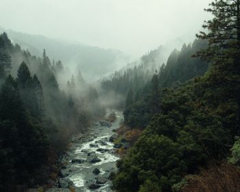 Обои 1280x1024 река, лес, туман