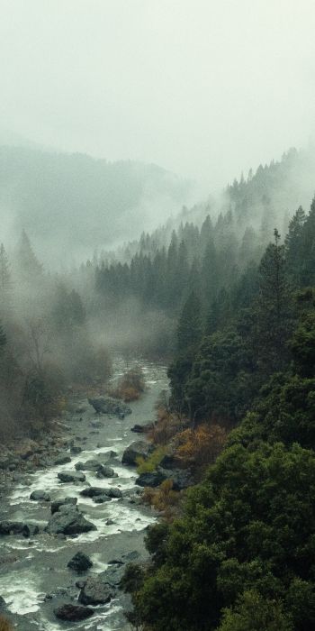 Обои 720x1440 река, лес, туман