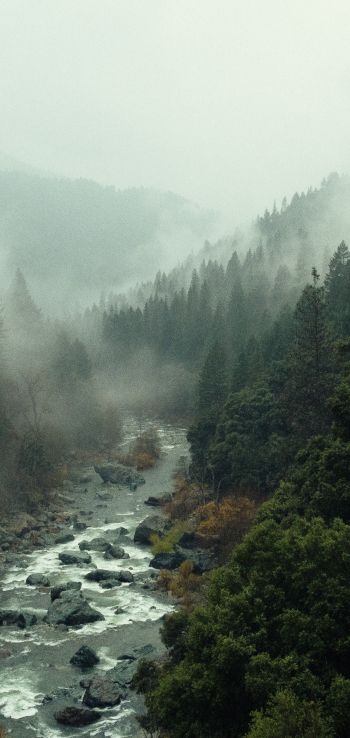 Обои 720x1520 река, лес, туман