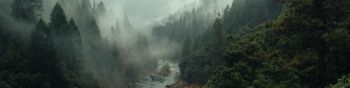 river, forest, fog Wallpaper 1590x400
