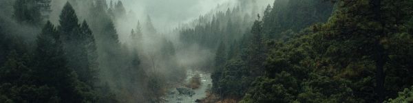 river, forest, fog Wallpaper 1590x400