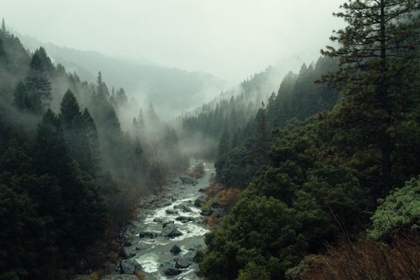 Обои 5184x3456 река, лес, туман
