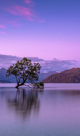 Wanaka, Otago, New Zealand Wallpaper 600x1024