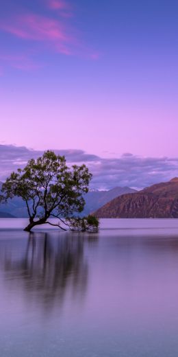 Wanaka, Otago, New Zealand Wallpaper 720x1440