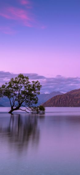 Wanaka, Otago, New Zealand Wallpaper 1080x2340