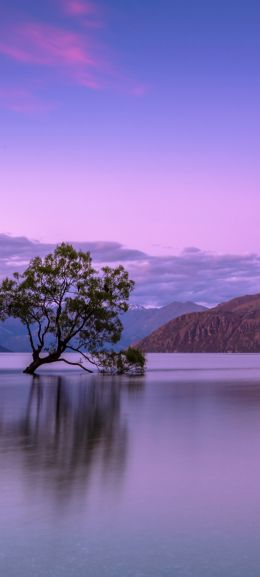 Wanaka, Otago, New Zealand Wallpaper 1080x2400