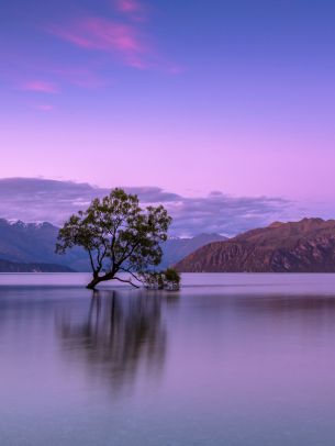 Wanaka, Otago, New Zealand Wallpaper 1536x2048