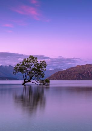 Wanaka, Otago, New Zealand Wallpaper 1668x2388