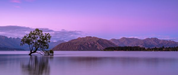 Wanaka, Otago, New Zealand Wallpaper 2560x1080