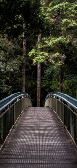 Fangarei, New Zealand Wallpaper 1080x2340