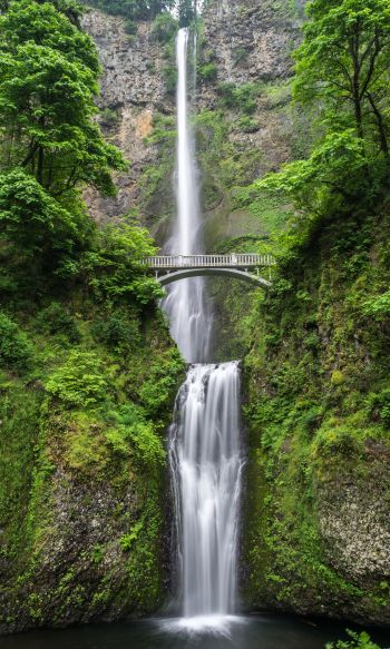 waterfall, bridge, mountains Wallpaper 1200x2000