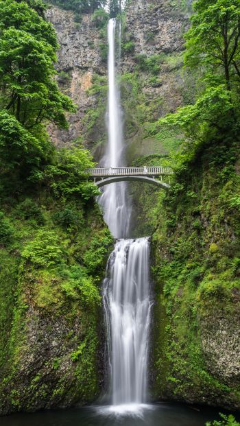 waterfall, bridge, mountains Wallpaper 640x1136