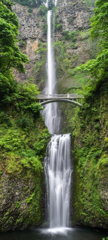 waterfall, bridge, mountains Wallpaper 1440x3200