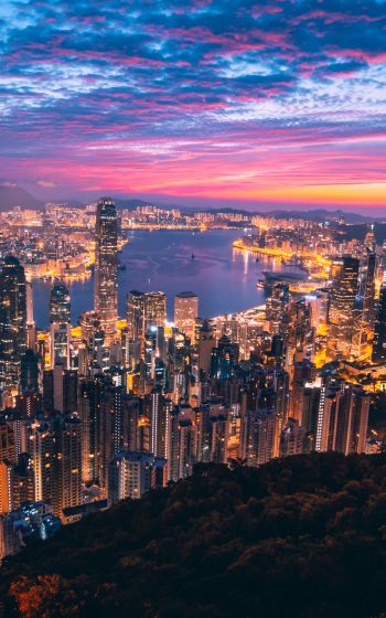 Hong Kong, city lights Wallpaper 1200x1920
