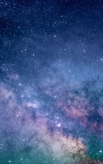 starry sky, milky way Wallpaper 1600x2560