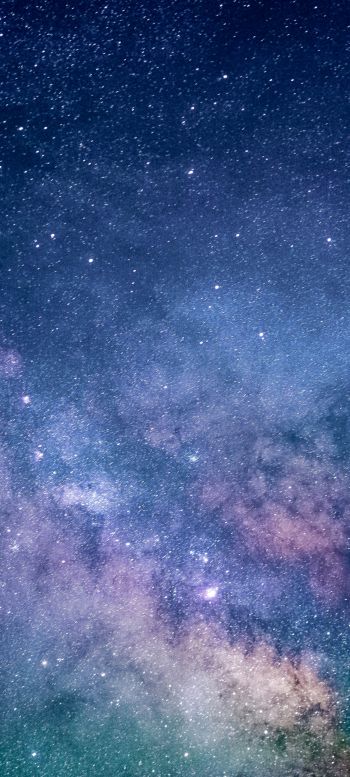 starry sky, milky way Wallpaper 1440x3200