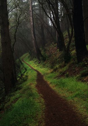 Point Reyes, California, USA Wallpaper 1668x2388