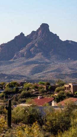 Arizona, USA, city Wallpaper 640x1136