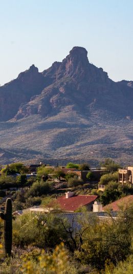 Arizona, USA, city Wallpaper 1440x2960