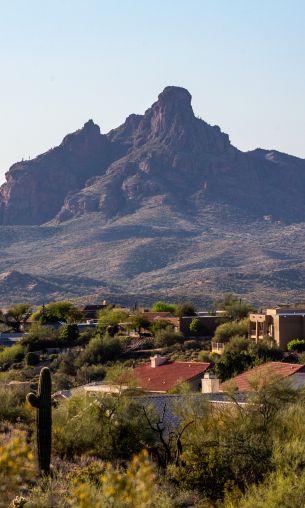 Arizona, USA, city Wallpaper 1200x2000