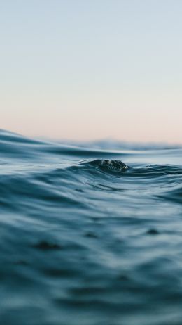 water, sea, ripple Wallpaper 1440x2560