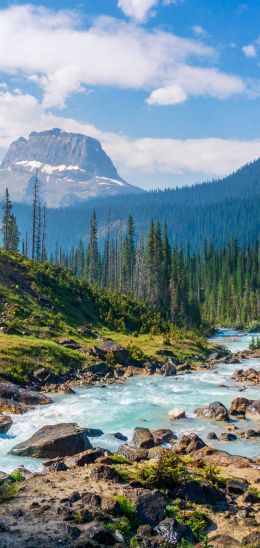 Yoho National Park, Field, Canada Wallpaper 1080x2280