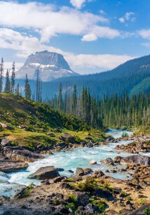 Yoho National Park, Field, Canada Wallpaper 1640x2360