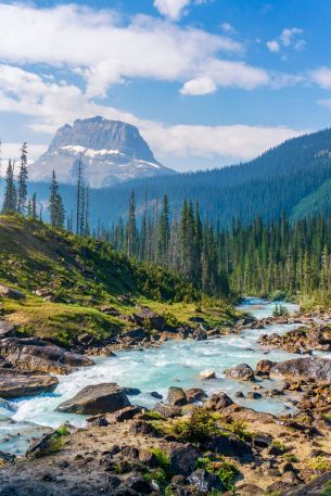 Yoho National Park, Field, Canada Wallpaper 640x960