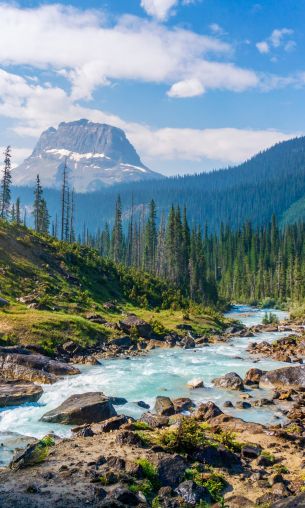 Yoho National Park, Field, Canada Wallpaper 1200x2000