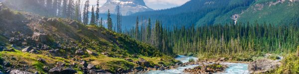 Yoho National Park, Field, Canada Wallpaper 1590x400