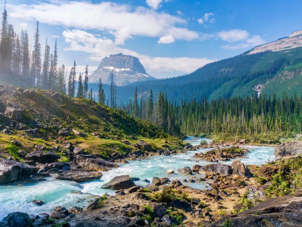 Yoho National Park, Field, Canada Wallpaper 800x600