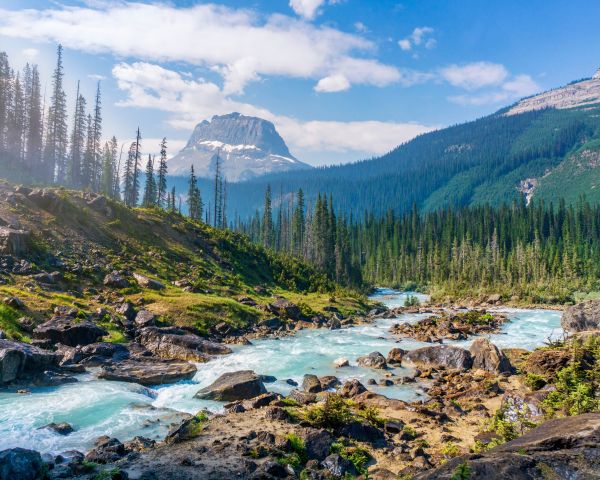 Yoho National Park, Field, Canada Wallpaper 1280x1024