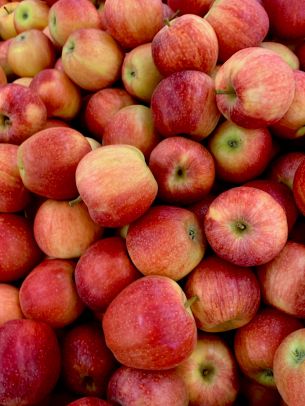 apples, fruit Wallpaper 1620x2160