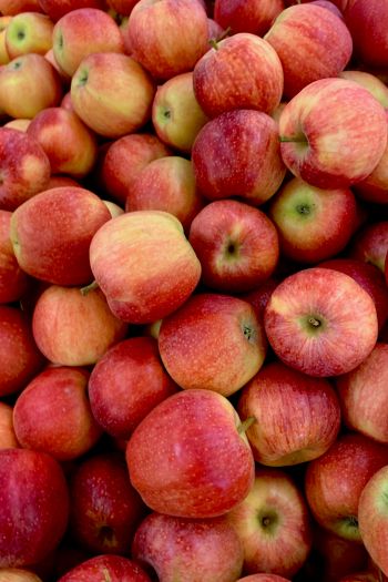 apples, fruit Wallpaper 640x960