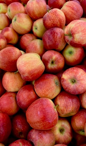 apples, fruit Wallpaper 600x1024